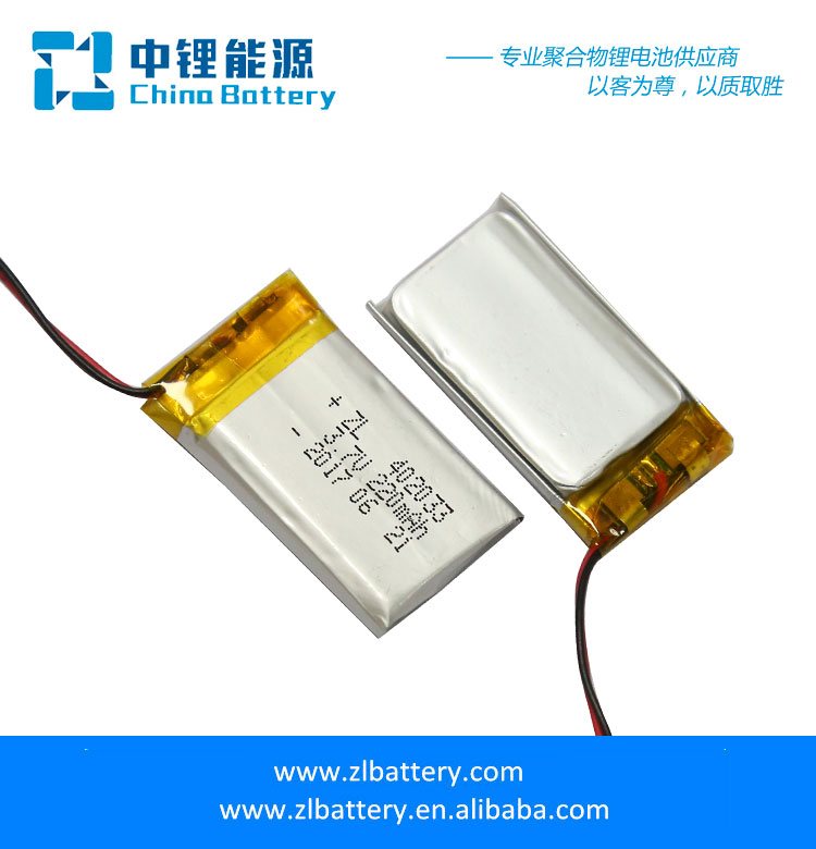Mobile payment battery
